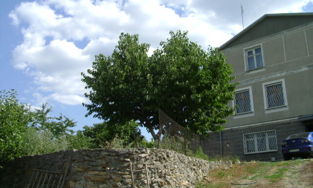 House in the village of Aleksandrovka, just 2 km from Odesa Ukraine,photo 1